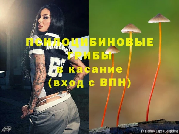 хмурый Киренск